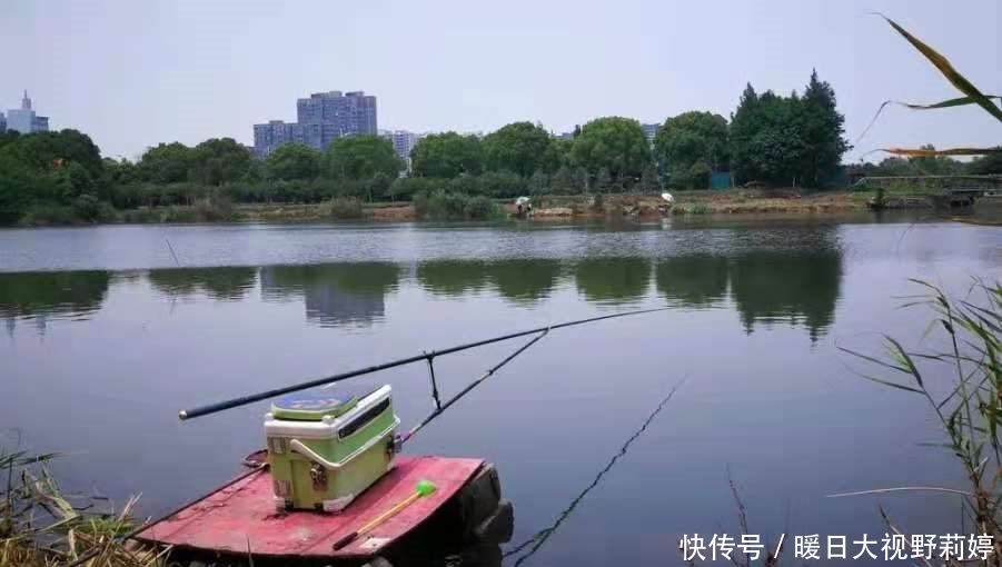钓场|你还别说,这鲤鱼钓法不是一般的好用,6月不试试就太亏了