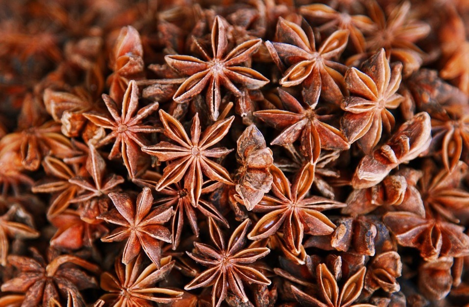 八角虽香，用对了才能发挥出香味！多数人不知道，导致多放也不香