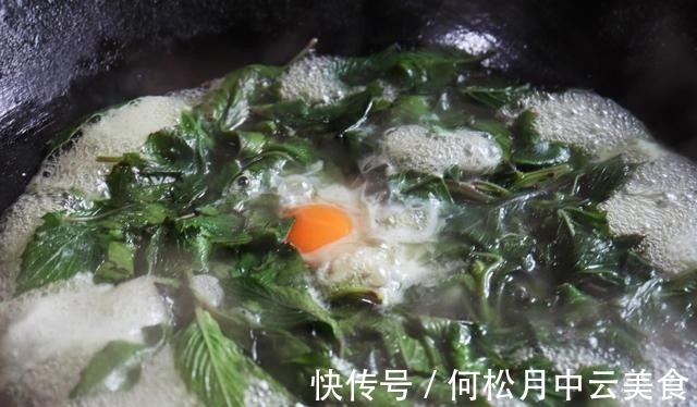 茼蒿菜|乡下有1种味道怪异的野菜,曾是革命时期的救军粮,你吃过吗!