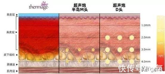 间隔期|为什么她会从整形模板翻车成馒化代表？