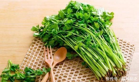 阳台种上“4种菜”,长得快结果多,吃了一茬又一茬,懒人必选