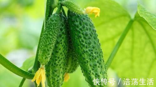 食物|冬天每天坚持吃3种食物，补血益气，缓解疲劳，增强抵抗力！