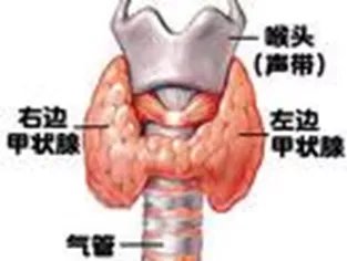 哈欠|乏力犯困，哈欠连天，无精打采？小心！可能是甲状腺“失控”了