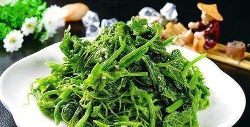 青钱柳|一旦查出糖尿病,再穷也要吃“它”,稳定血糖比胰岛素都强