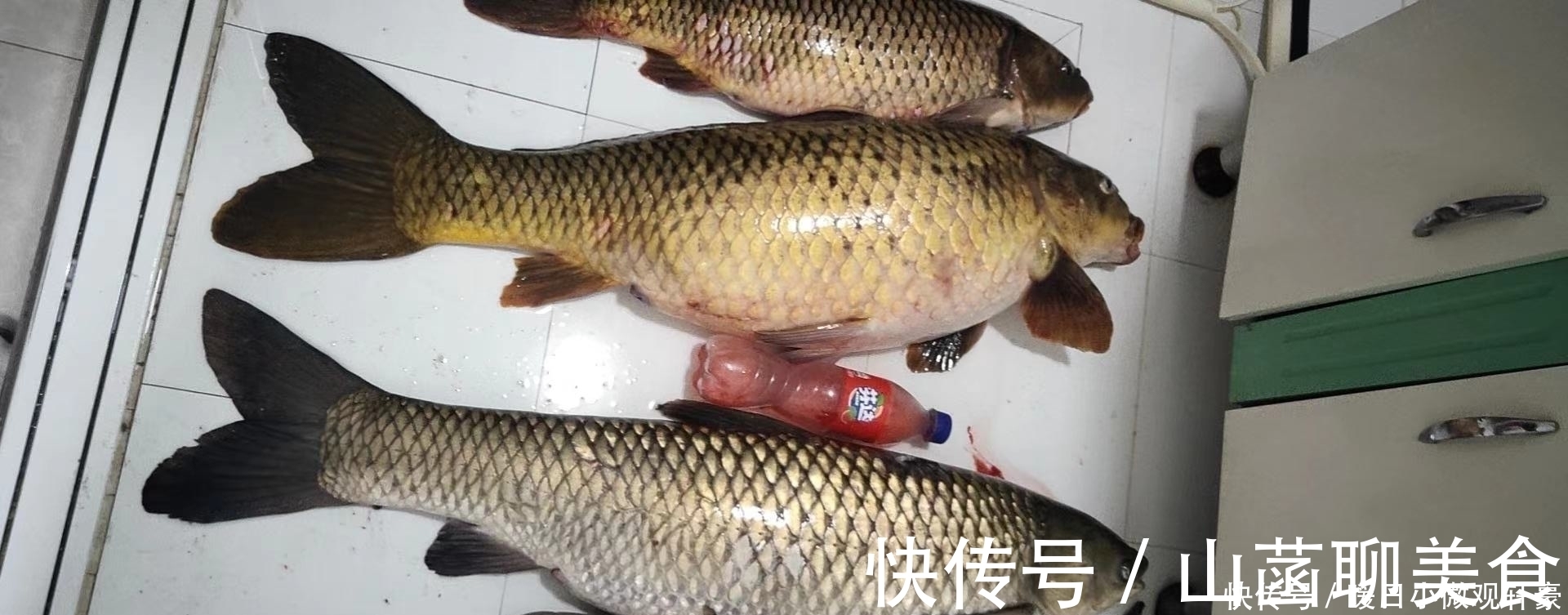 失误|野钓巨物细节决定成败，一次失误半月努力就白费了，慎重！