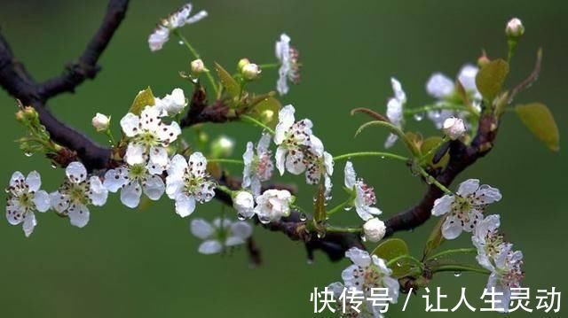 独自一人#杜牧被贬的一首诗,借酒消愁,读完悲从中来心碎不已,结尾更经典