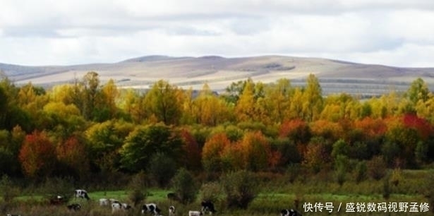 结婚|中俄交壤小镇，俄罗斯人与中国人结婚已成习惯，个个洋媳妇抱回家