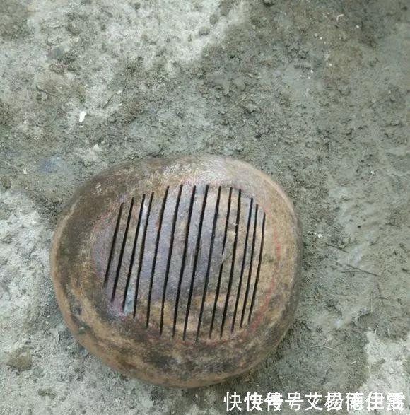 石头|大爷用石头来养花，越养越值钱，有人出1000块也不卖！