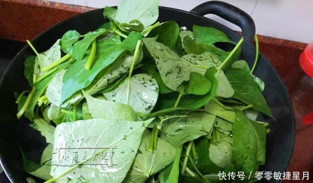 维生素c|夏天,少吃苦瓜茄子多吃它俩,富含维生素C滋养肌肤,不懂吃可惜!