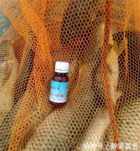 曲酒|野钓秘方窝料、饵料配方大揭秘，可以让你的鱼获翻倍哦