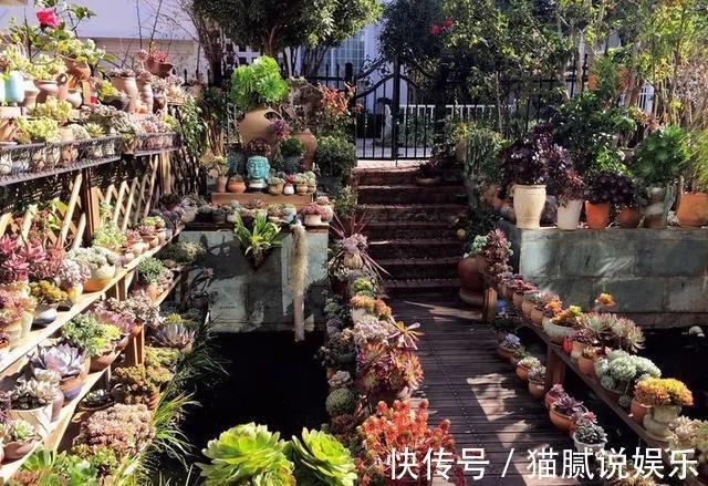 这9种花园,随便1个都美上天了,有一种这辈子就满足了!