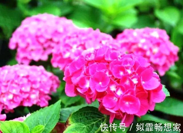 善念$人在做,天在看!做人,别缺德,要心存善念!