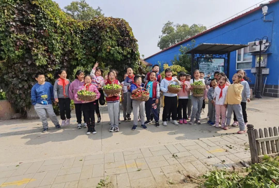 寓教于乐|【志愿服务我先行】小丰营小学：寓教于乐 服务社会