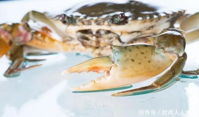 在三门“舞爪横行”的青蟹,到了最好吃的时候啦
