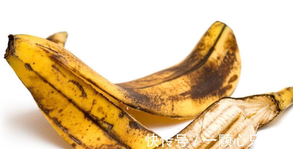 养花老大爷有妙招,绿萝盆里放了啥宝贝,冬天也能绿油油爬满墙