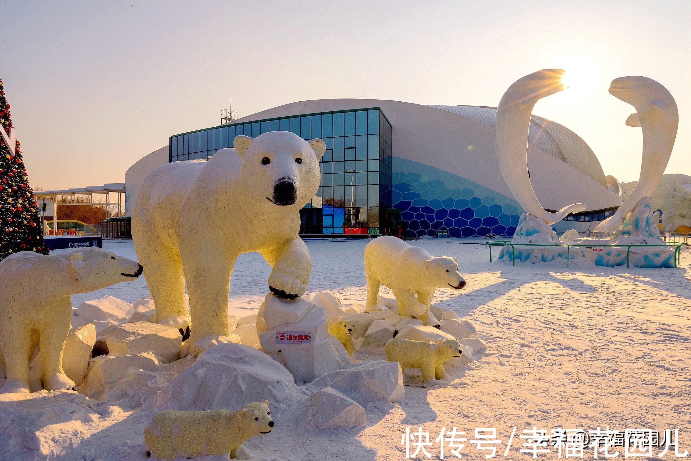 老桥|赏冰、玩雪、看美景，找回儿时过年的味道，就在非常冰雪黑龙江