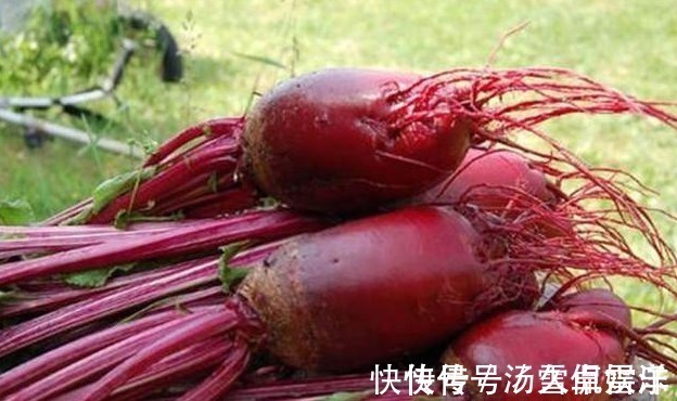 滋补|对身体最好的三种食物，每天吃点，补充营养，滋补身体！