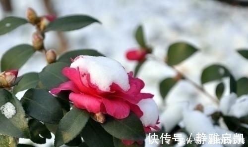 农历|谁家妻子生在农历这六天,一生有好运,日子过得顺心,非常富裕