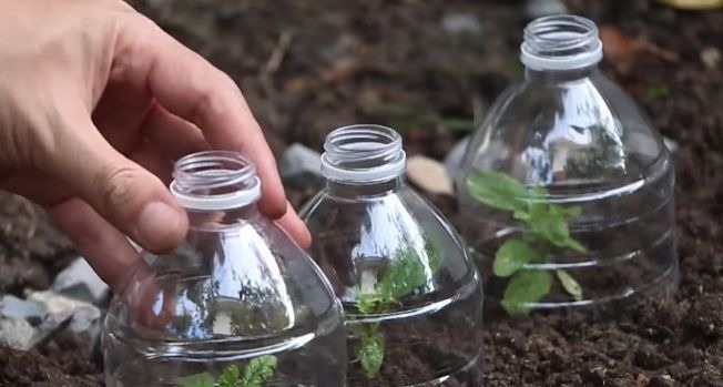 窗帘|她把塑料瓶放在窗帘上,解决了千万人的烦恼。。。