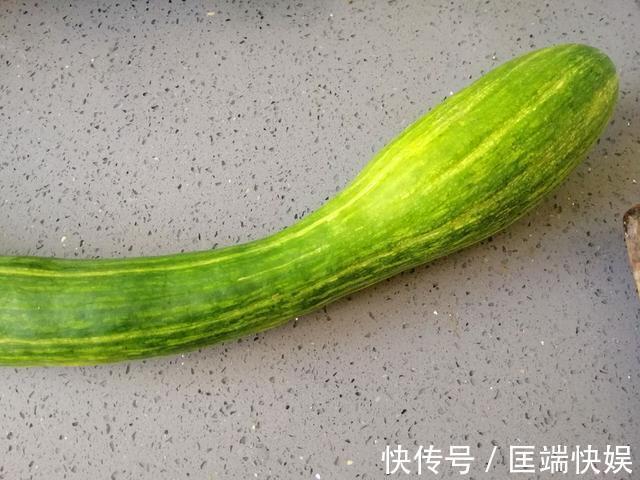 瓜丝|天冷了就吃这个馅的饺子!遇到这菜必买三十斤,比韭菜馅好吃多了