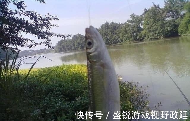 子线|钓鱼中鱼率低?与事俱进懂不!不看看你还想继续空军吗?