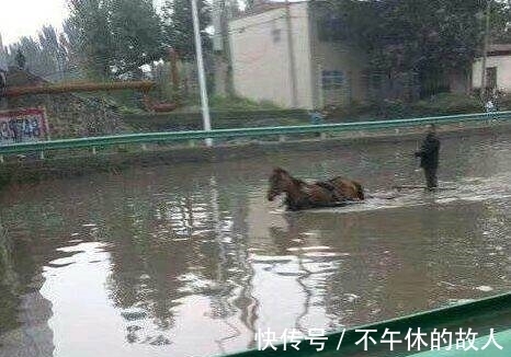 |搞笑图片幽默段子笑话:马儿还能在河里跑啊,还是第一次见呢