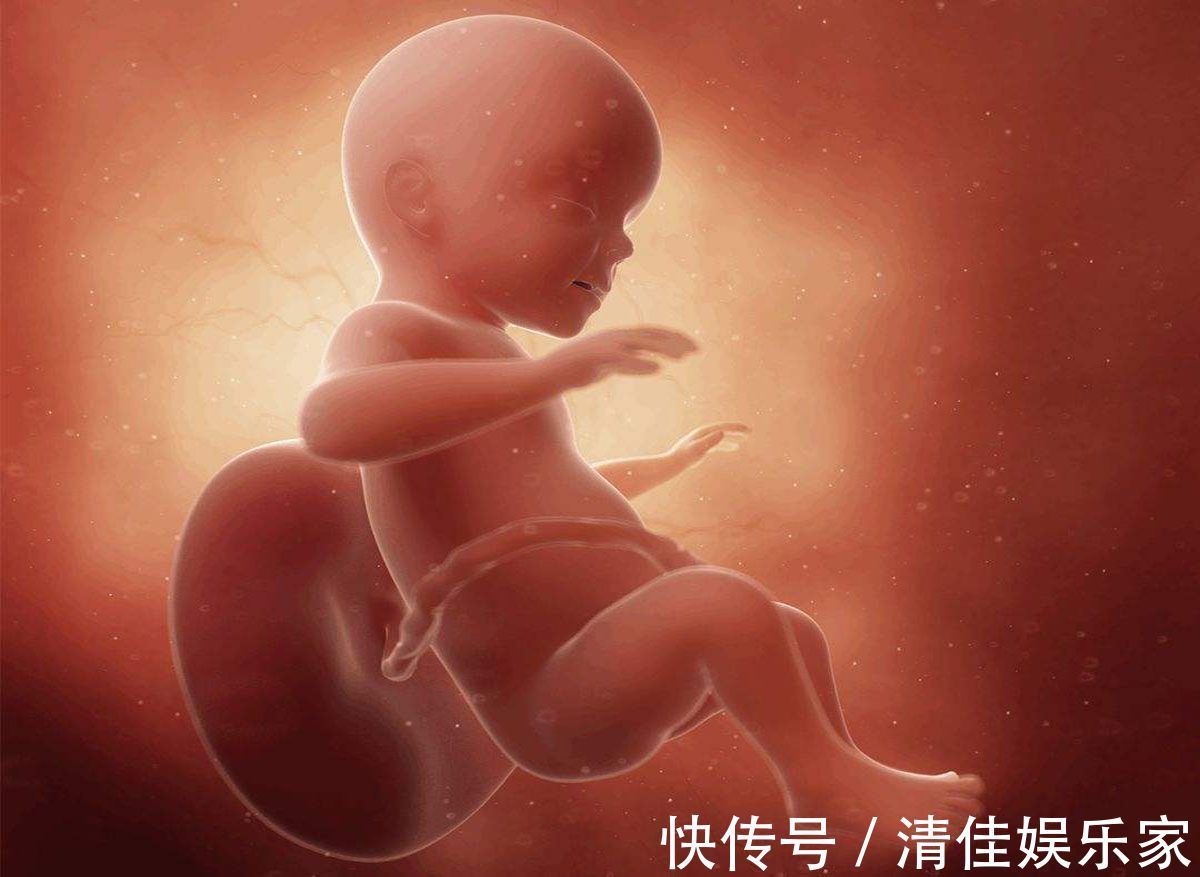 排泄物|胎儿在母亲肚子里,生活的很“精致”!不过他的大小便都去哪了