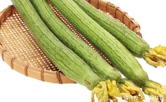 丝瓜虽不起眼,常吃却有4大好处找上门,尤其对女性