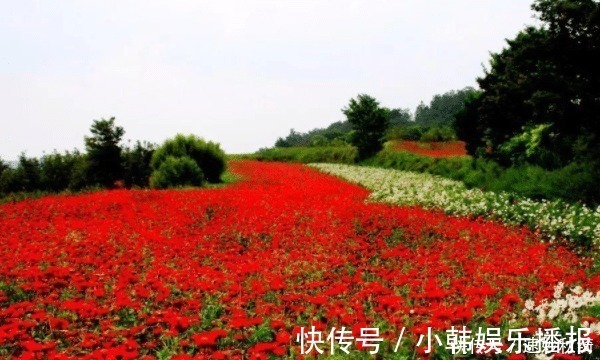 河北|河北4A景区，三步一瀑，五步一潭，山顶还有花海，正值当季游玩