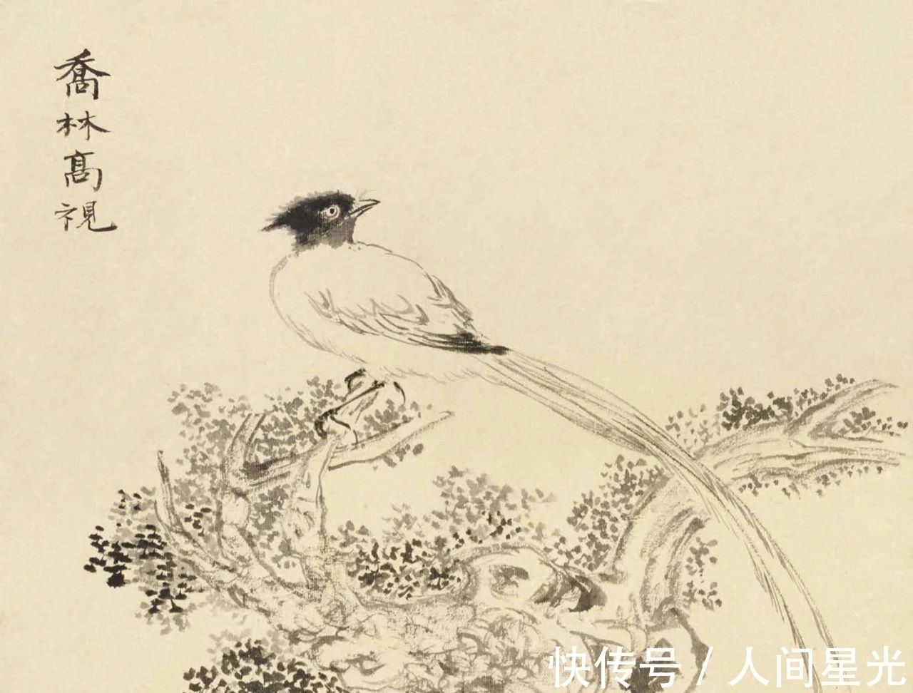 绘画作品$「津门网」陆抑非先生课堂上都给他的学生传授了什么样的秘籍?