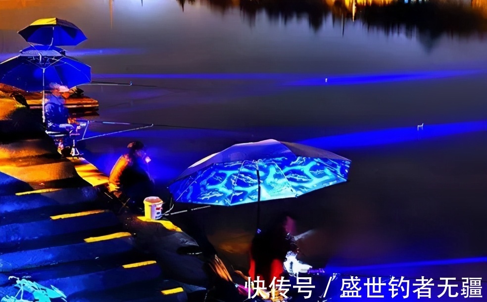 鲤鱼|夏季钓鱼流行夜钓，做好这几点，鱼获不会少！——盛世三渔
