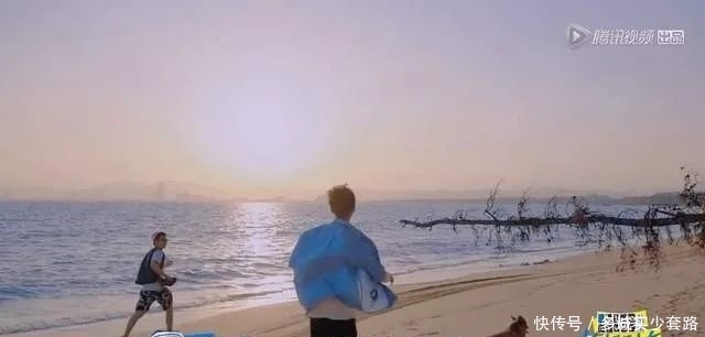 奇艺剧本杀|王俊凯和小狗比赛,奔跑途中处处揶揄小狗,网友都看不下去了