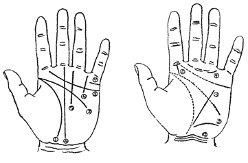 手相全套 手掌纹路与掌纹算命图解全有了 快资讯