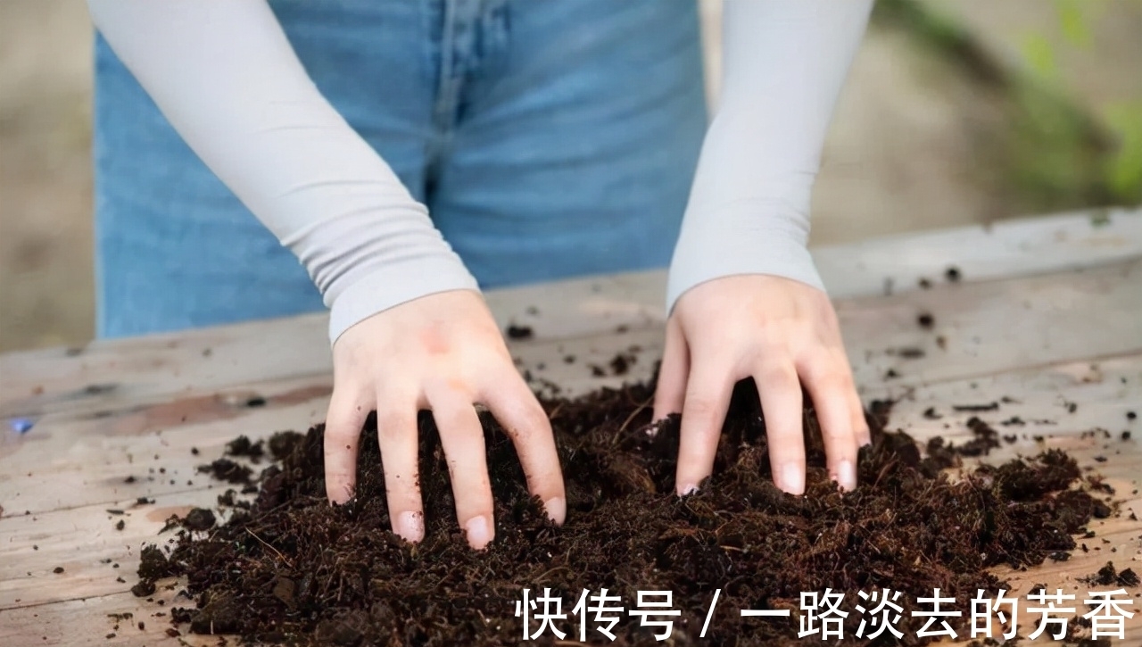 盆栽|怎样知道花卉要翻盆了？有5个表现就要注意，否则会严重影响生长