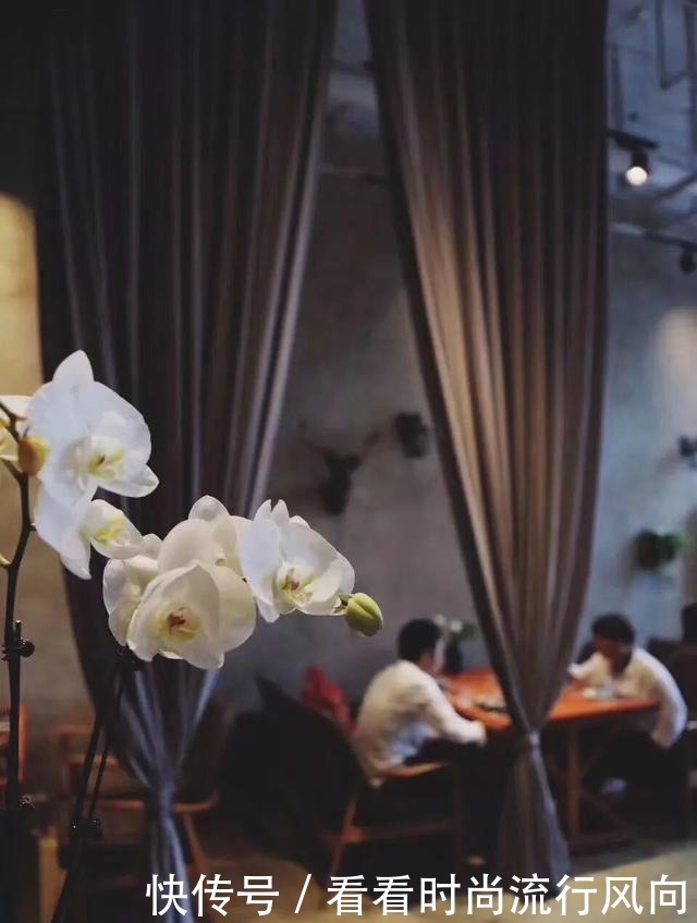 景美!人靓!饭菜、咖啡香!大连6家好店让你相见恨晚!
