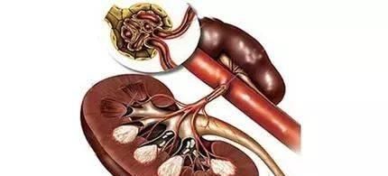 dh9岁男孩排不出尿,查出肾衰,医生说孩子这几处不能随便打