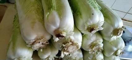 奶奶|奶奶道出40年的酸菜秘方:不加一粒盐,用它代替,存放1年都不坏