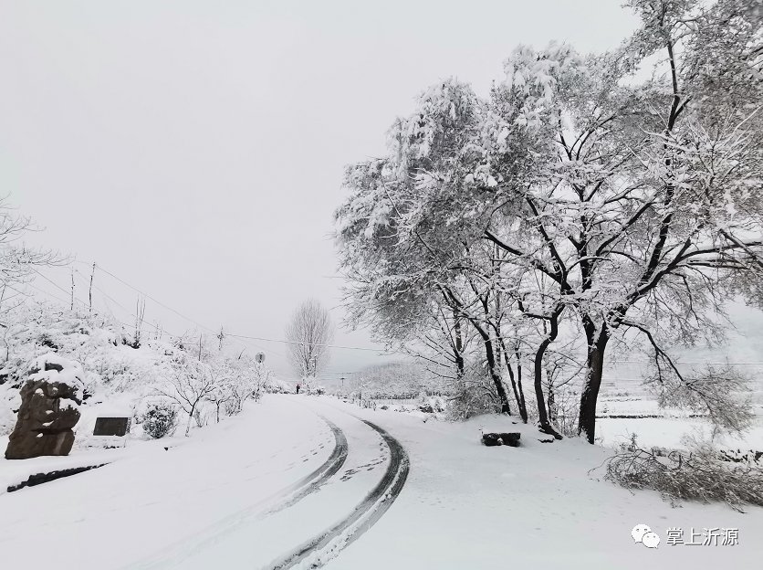 初雪来袭：你在朋友圈晒雪景，我在雪中守护你