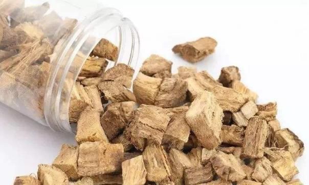 血压高别再怕,4味中药泡茶喝,血压喝一次降一次,赶快行动吧