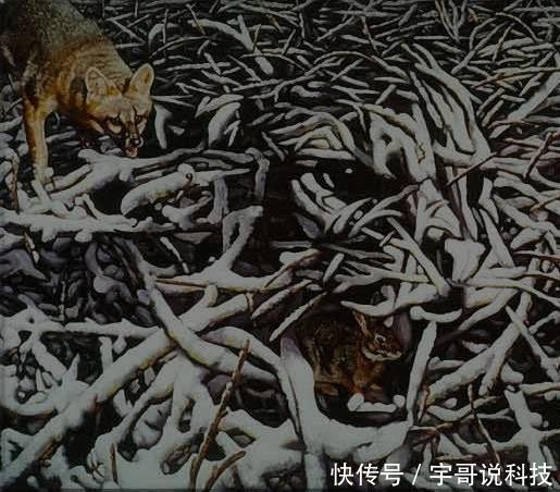  老年痴呆|新版老年痴呆测试：三题全对祝贺你，大脑不仅聪明还很健康！