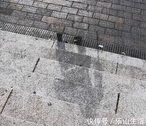 李小龙|大多数人没有听说过的10个有趣的冷知识