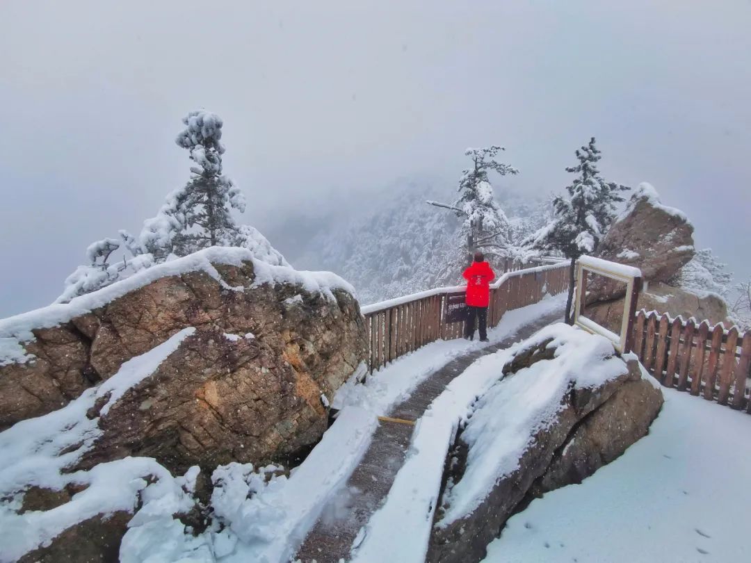 雪景|老界岭又下雪啦！这才是朋友圈最“冻人”的雪景！