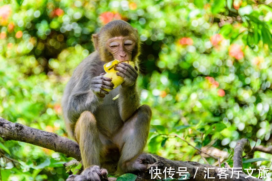 香水湾|媲美巴厘岛，北纬18°绝美海岸线，海南这个宝藏地比三亚人少景美