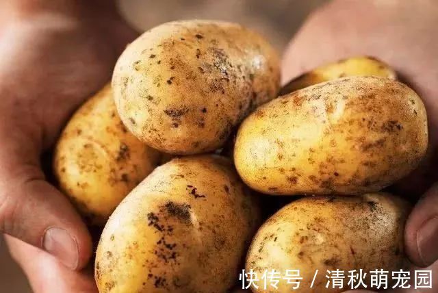 糖尿病患者|告诉大家:糖尿病人万不能吃这4物,否则血糖将一路升高危害健康