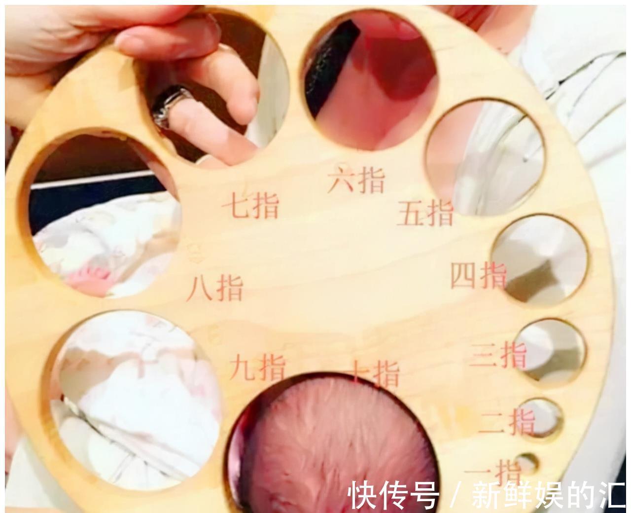 骨缝|为何动物生育后代如此轻松,而人类分娩时却疼得那么撕心裂肺?