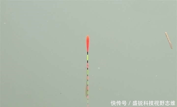 鱼口|为什么说野钓就要钓钝,这几个原因告诉你,钓钝到底有多实用