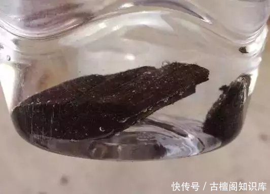  流油|丑得要死的木头，切开后竟然是紫的流油的紫油梨!