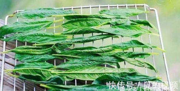 肌肤|爱美女性可以多吃三种食物,补充营养,滋润肌肤,早吃早好!