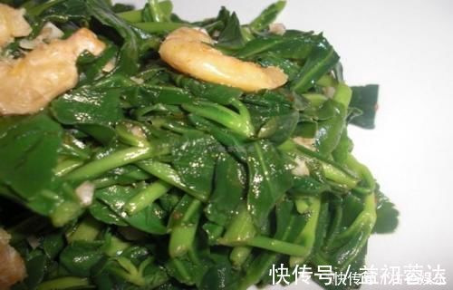 药用价值|农地里被忽视的这种野菜,或是高血压“克星”,建议:不妨多吃点
