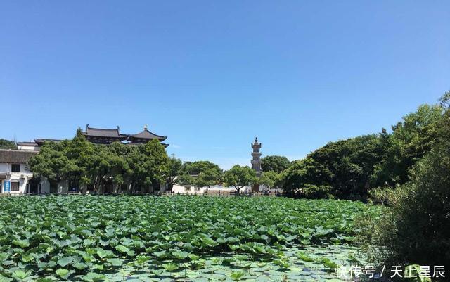 良心|游普陀山门票200贵吗？游客：1块钱3炷香，还能自带，很良心